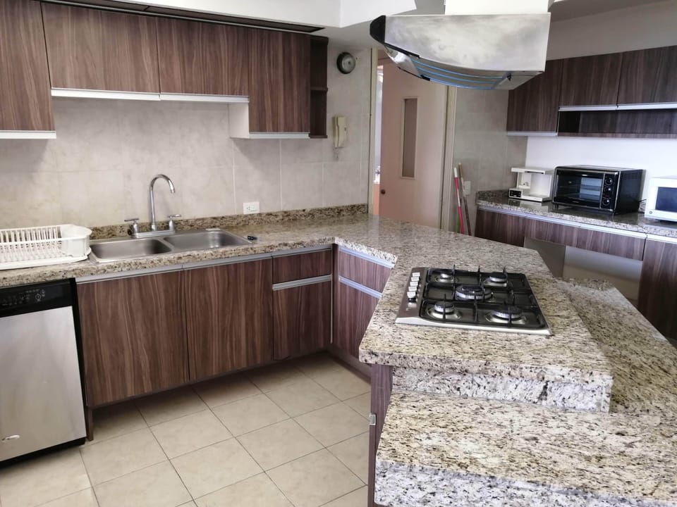 Panoramic Apartment, 3 Bedrooms, City View | Private kitchen | Full-size fridge, microwave, oven, stovetop