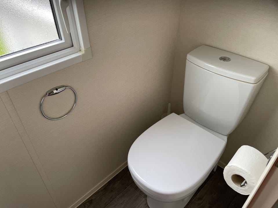 The 2nd toilet