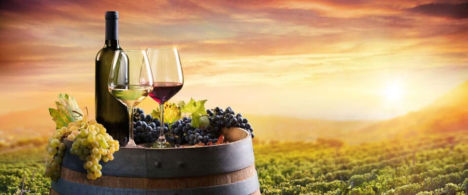 Grape and Wine Festival