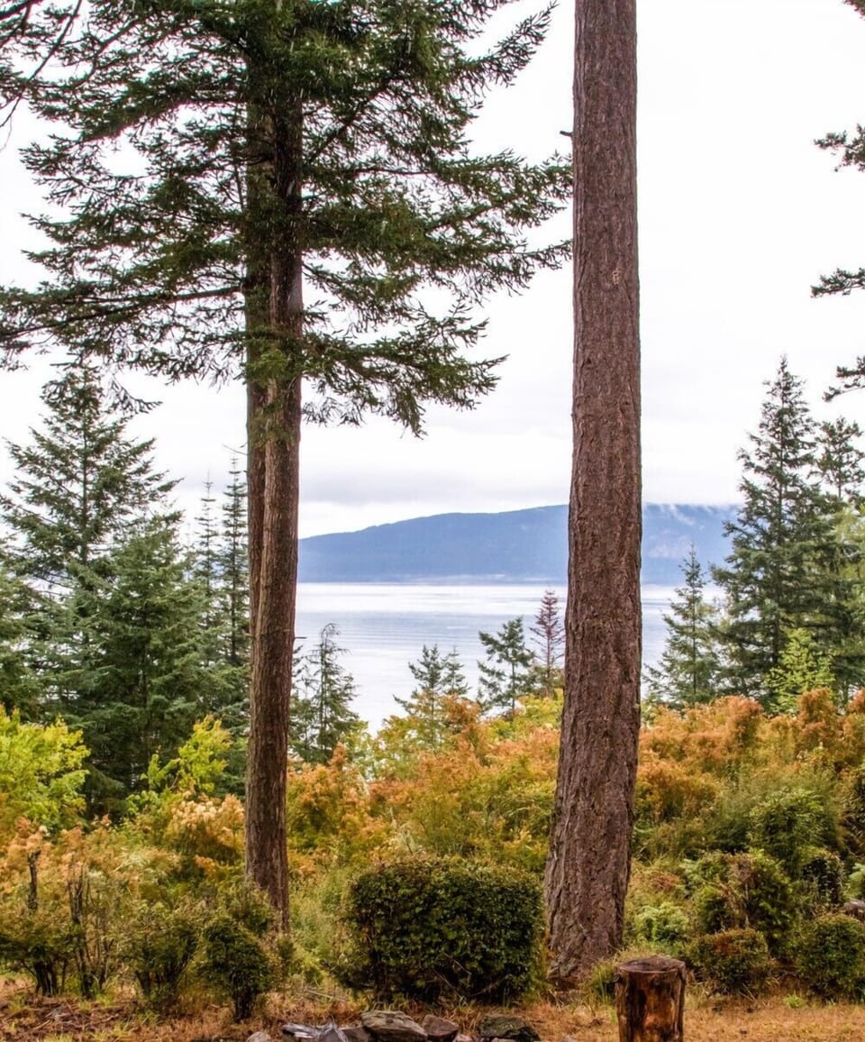 NWHomePhotos-web-5699-003