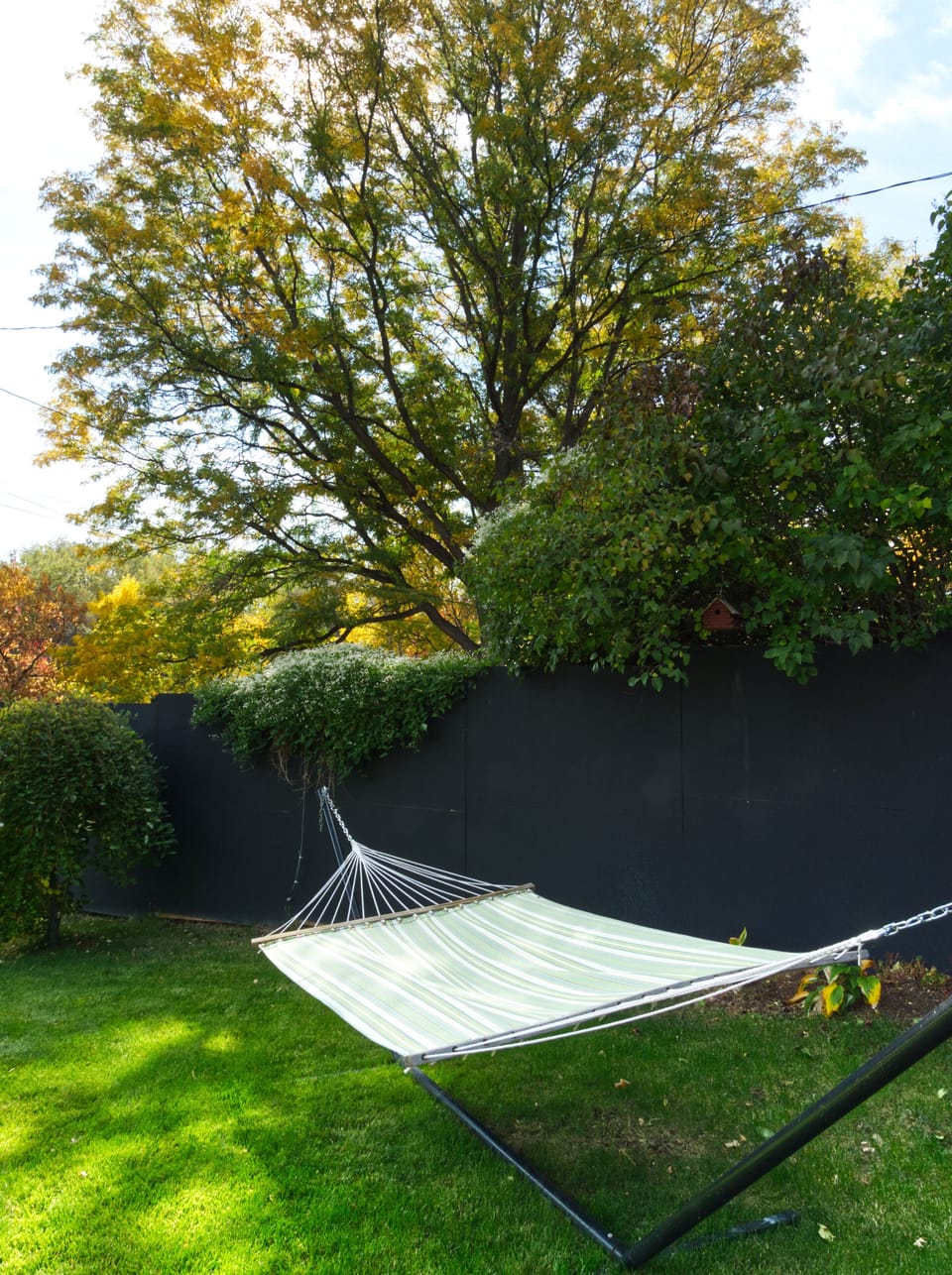 Lounge on the hammock
