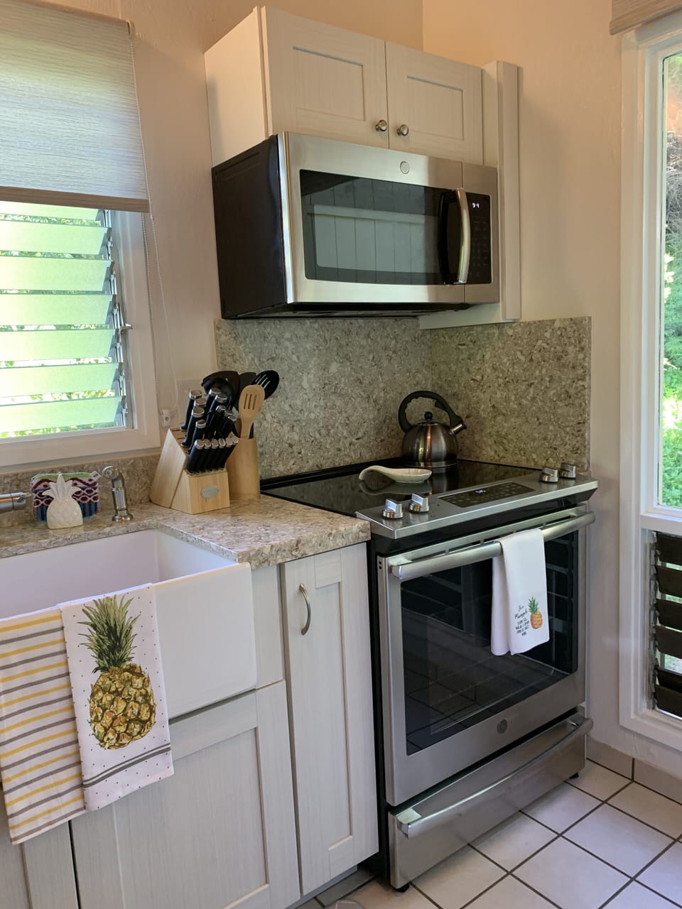 Stove/Microwave