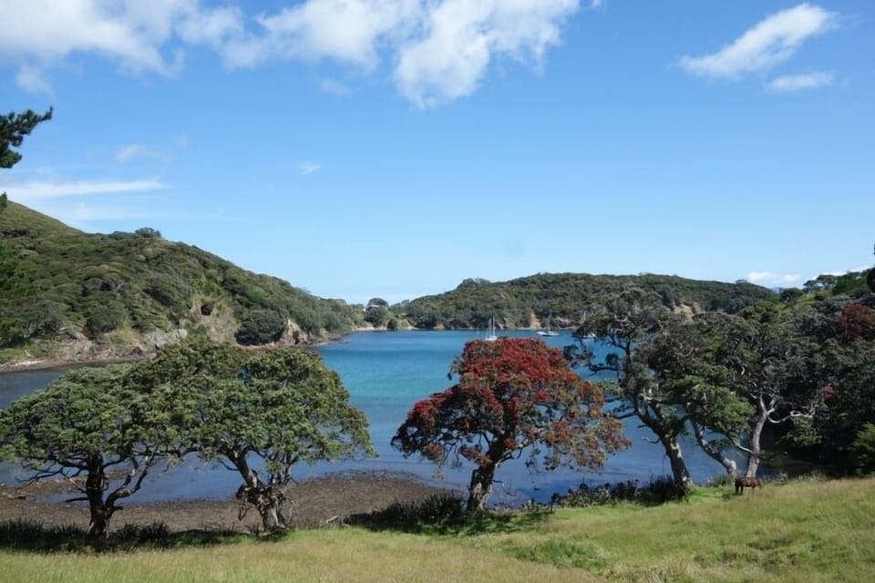 Schooner Bay, Tryphena, Great Barrier Island