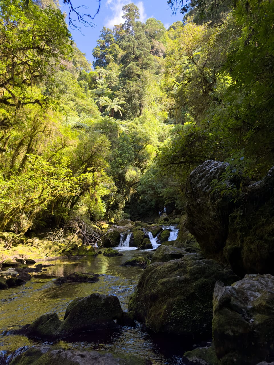 Riuwaka Source in Riwaka