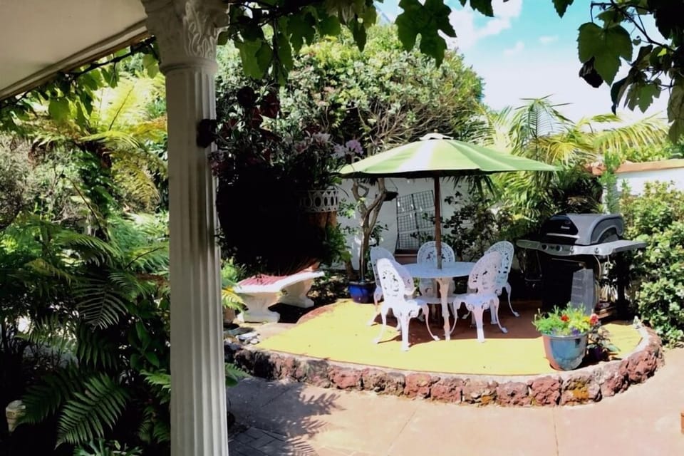 Back terrace garden and bbq area