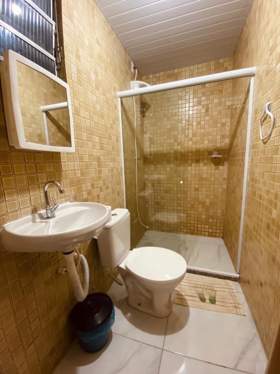 Shower, towels, toilet paper