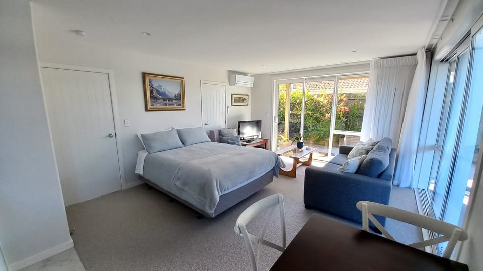 Queen bed, couch, etc in the spacious studio room
