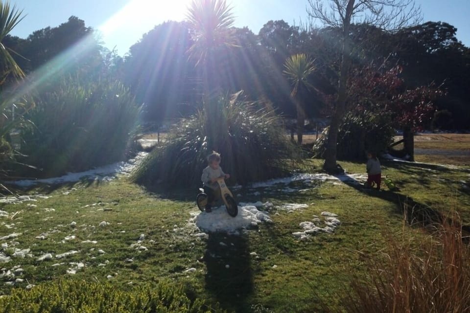Front garden after snowfall