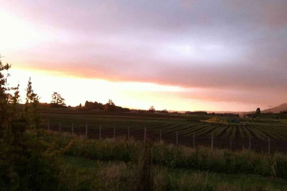 Sunset from the garden across the neighbouring farm