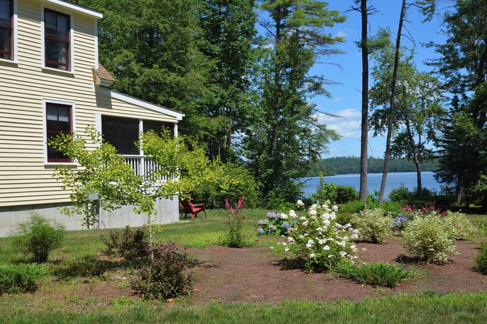 Clover cottage  with beautiful lake view, side garden attracts butterflies. 