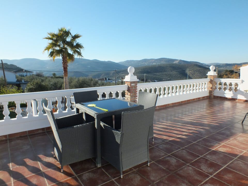 Roof terrace view.