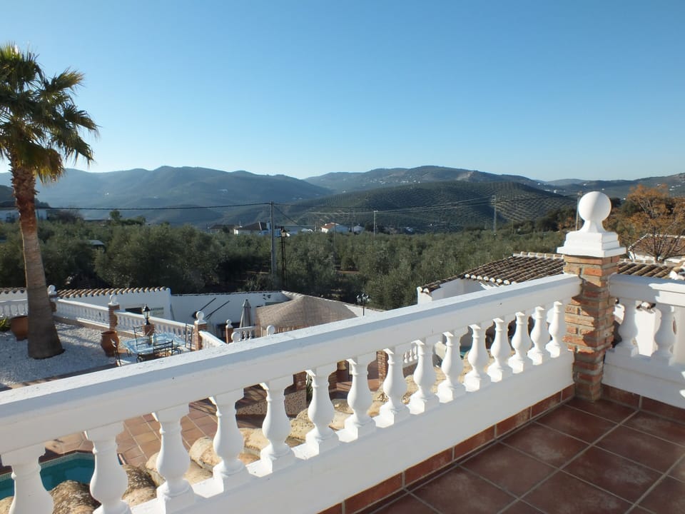 Roof terrace view.