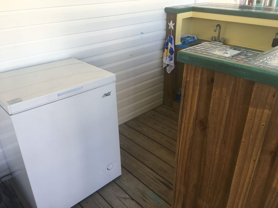 Fish/bait freezer