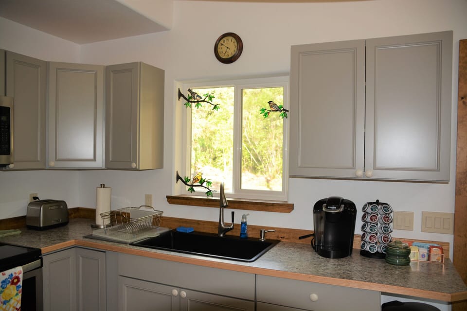 Kitchen sink and window.