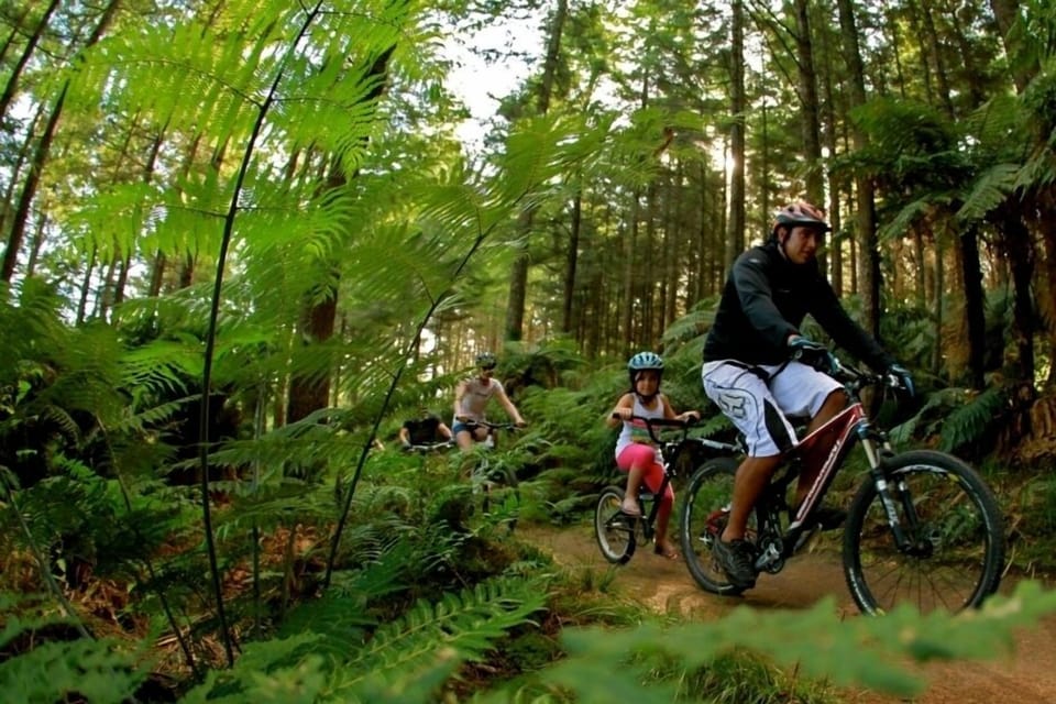 To Do in Rotorua