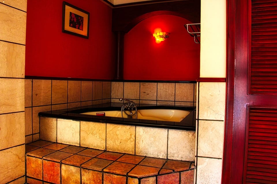 Separate tub and shower, hair dryer, bidet, towels