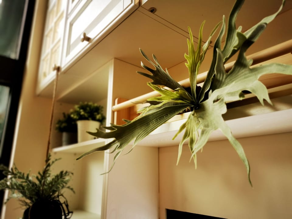 Interior detail