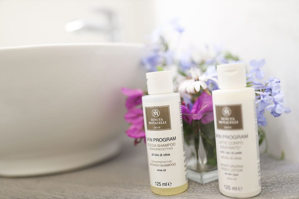 Luxury Suite | Bathroom | Rainfall showerhead, free toiletries, hair dryer, bathrobes