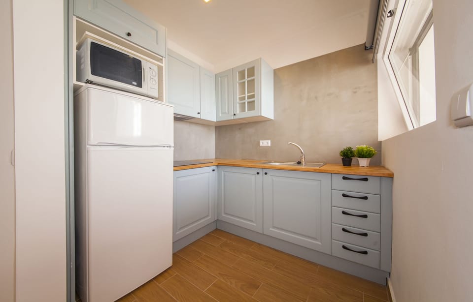Apartment (1 Bedroom) | Private kitchen | Coffee/tea maker, fridge, microwave, stovetop