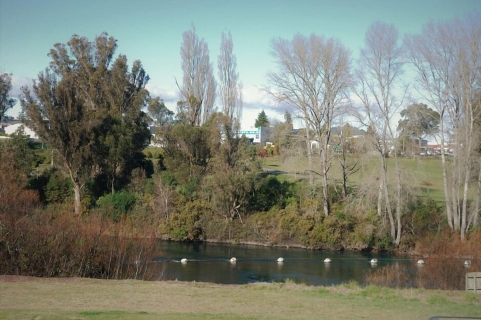 View from deck