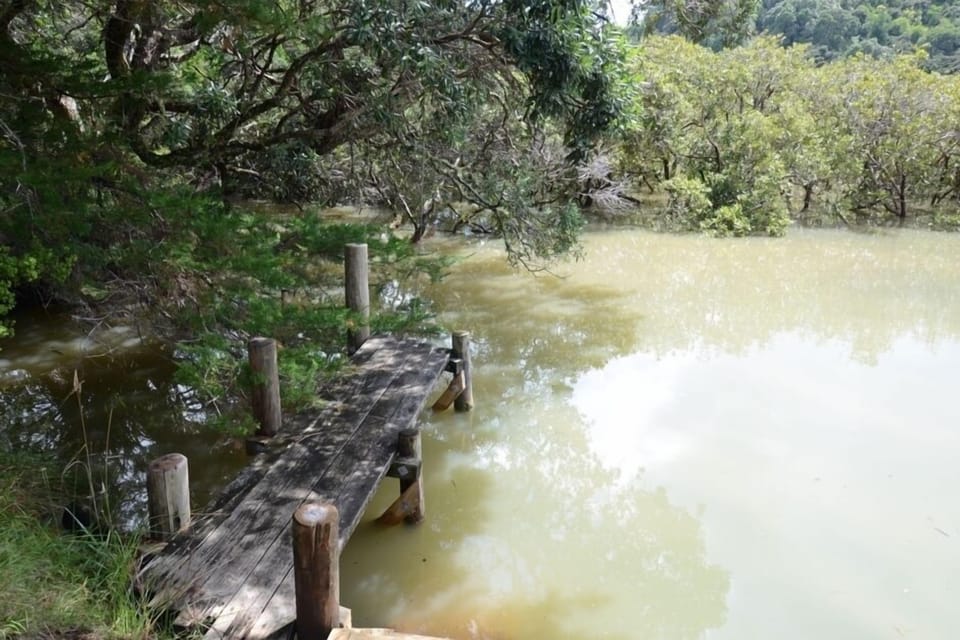 Jetty  from council access way from back yard 