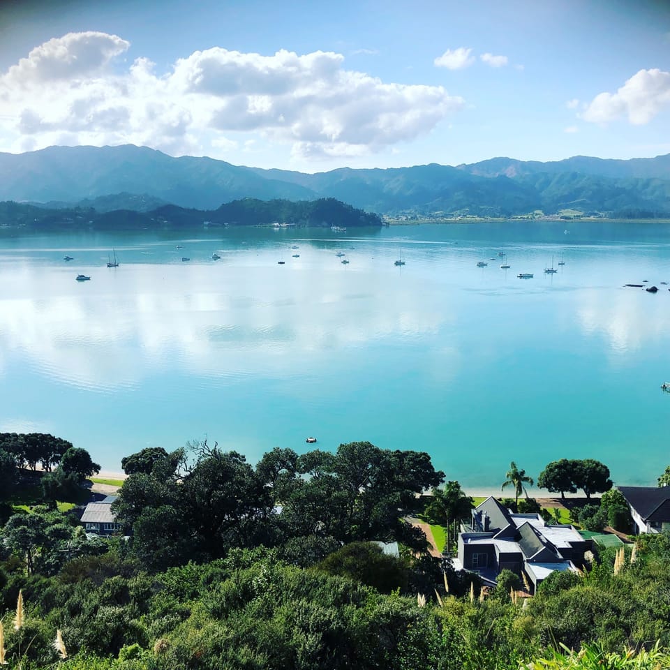 View into Ruffins Bay from the hill behind the house (well worth the climb up!)