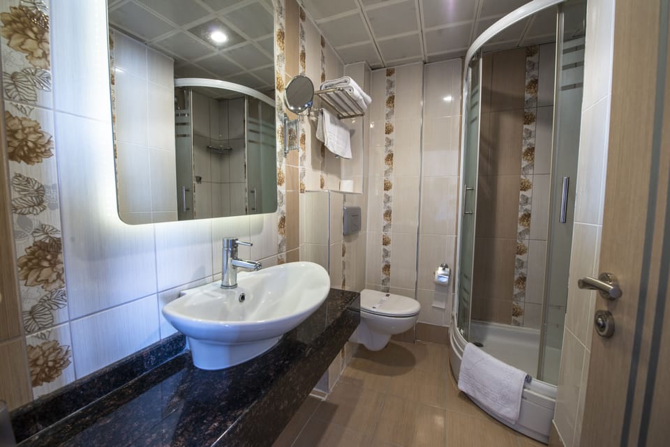 Standard Double or Twin Room | Bathroom | Free toiletries, hair dryer, towels