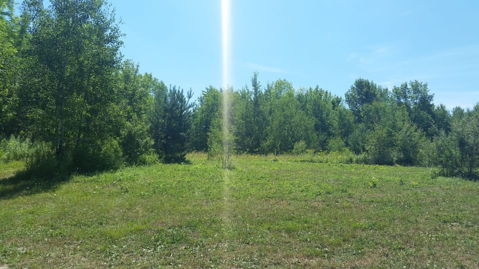 Views around the cabin.