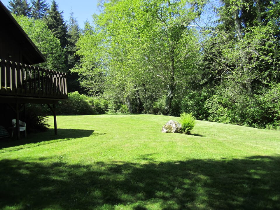 Large Yard