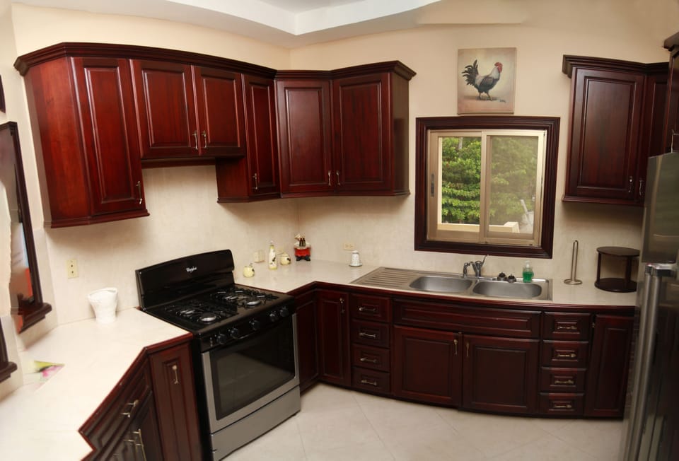 Fridge, oven, stovetop, blender