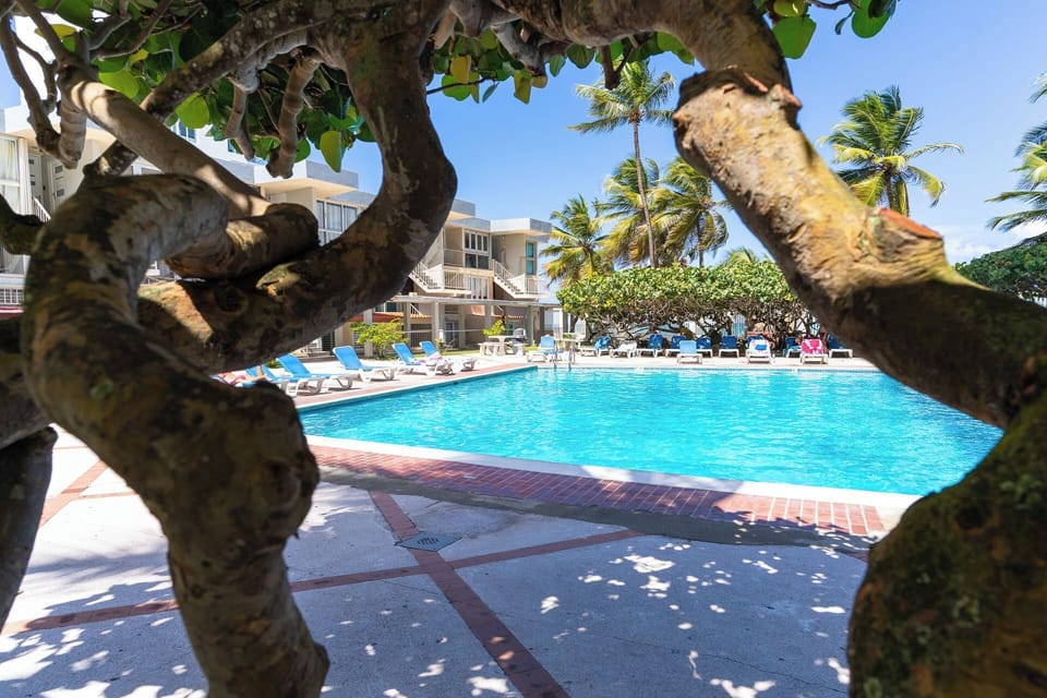 Outside pool and picnic area