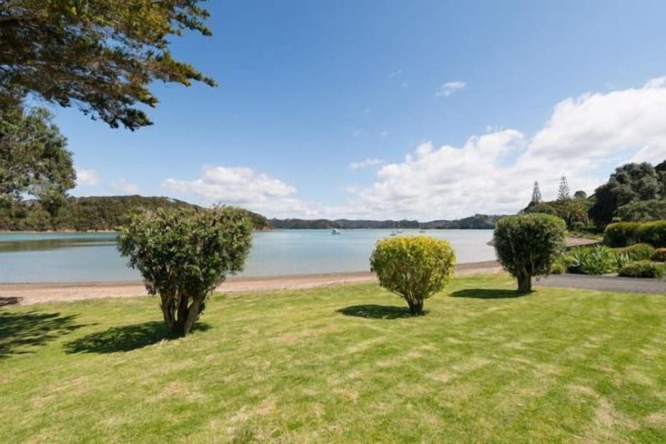 woodies front lawn