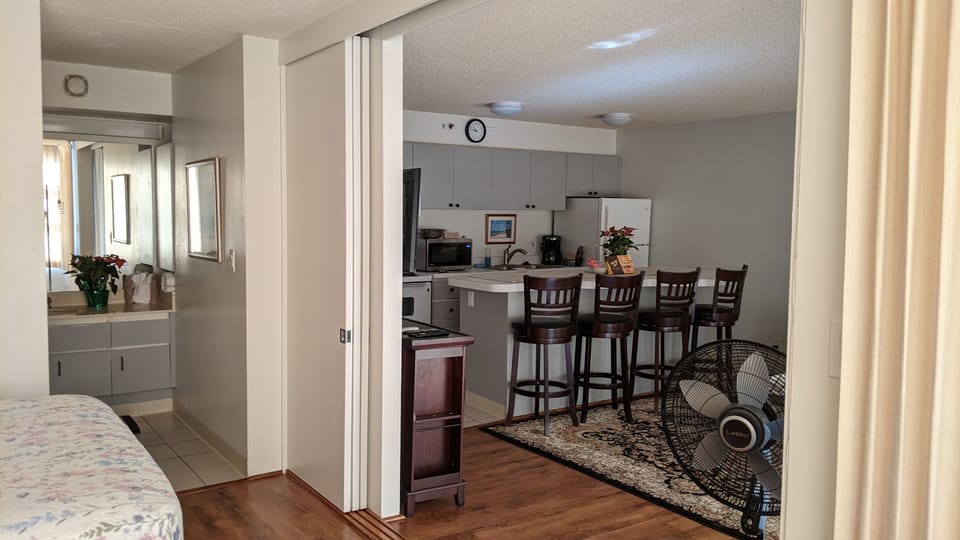 bedroom connects to living room with sliding door for privacy