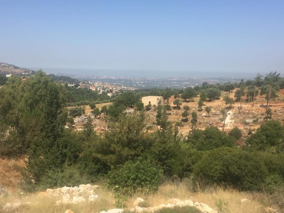 Apartment, 2 Bedrooms | View from room