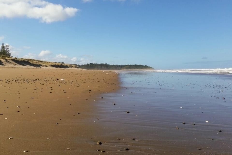 The Beach