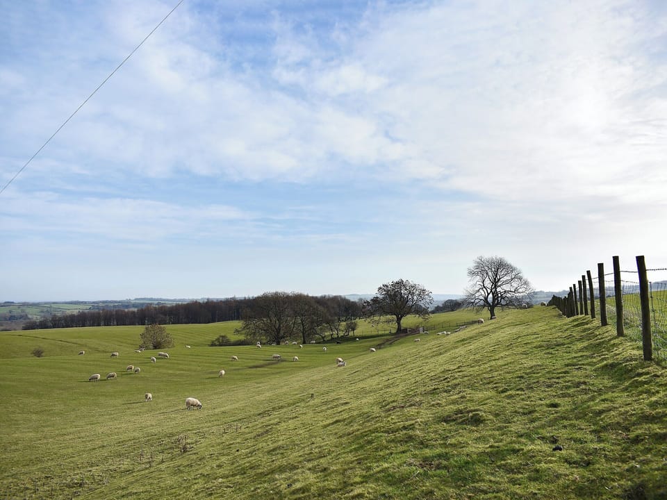 Wonderful far-reaching views of The Dales | High Dalton Hall Cottage, Newsham, near Richmond