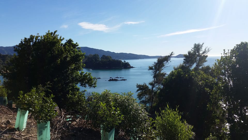 Little Kaiteriteri Walk