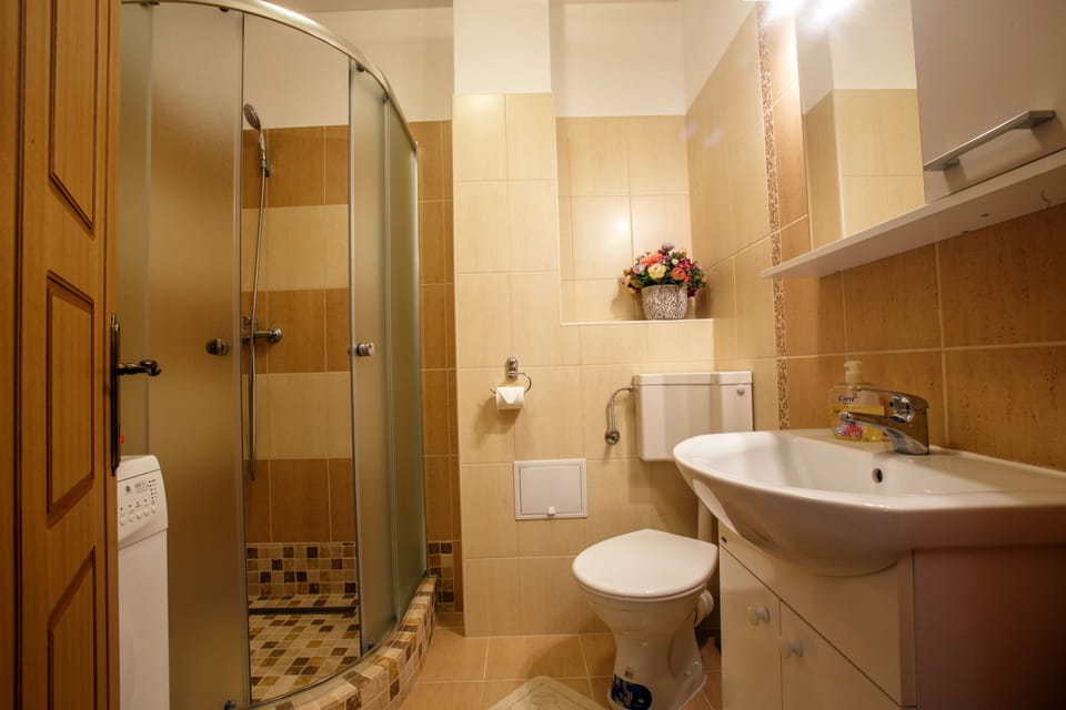 Shower, free toiletries, hair dryer, towels