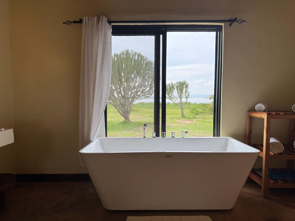 Deluxe Double Room | Bathroom | Separate tub and shower, free toiletries, bathrobes, slippers