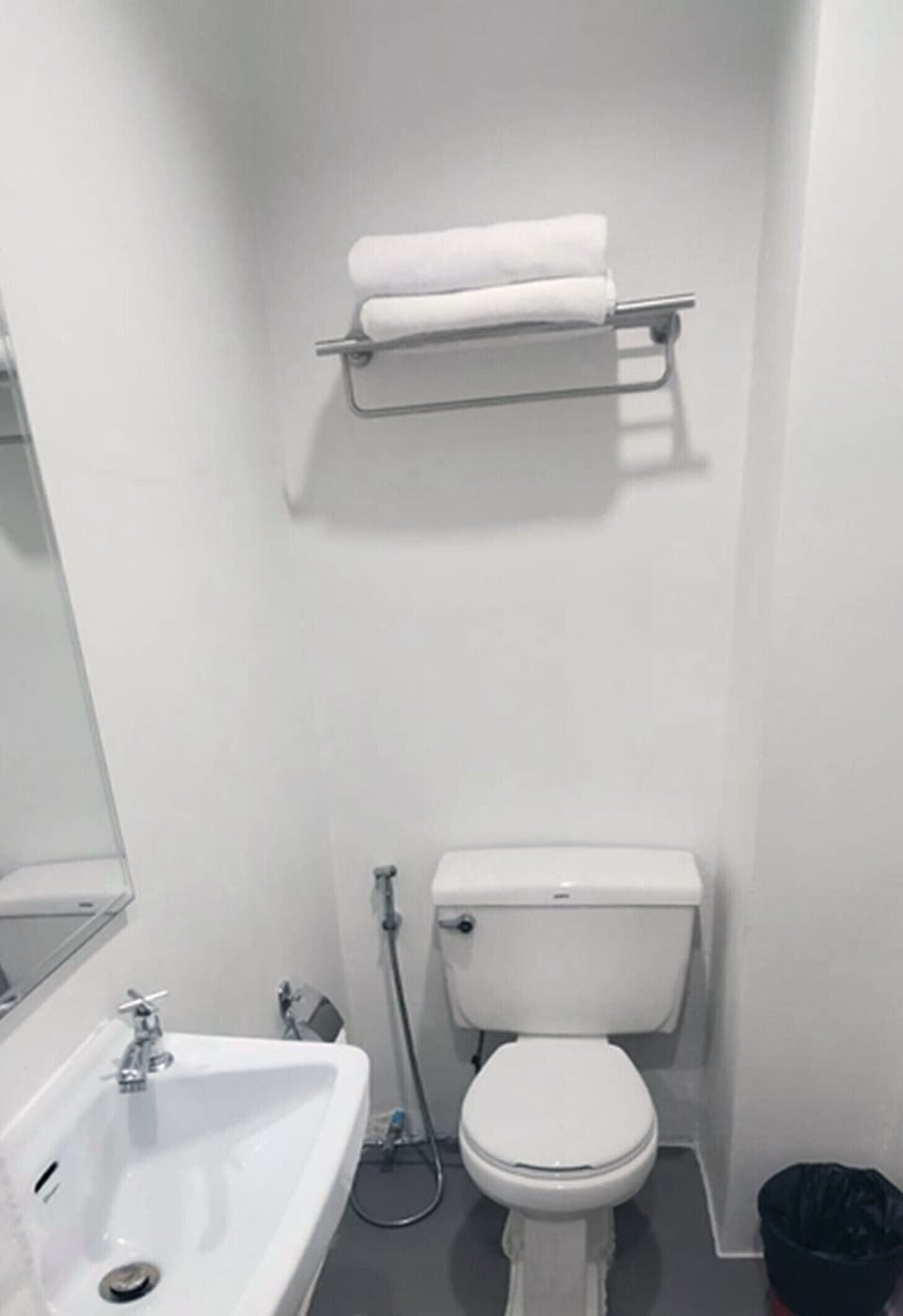Shower, bidet, towels, soap