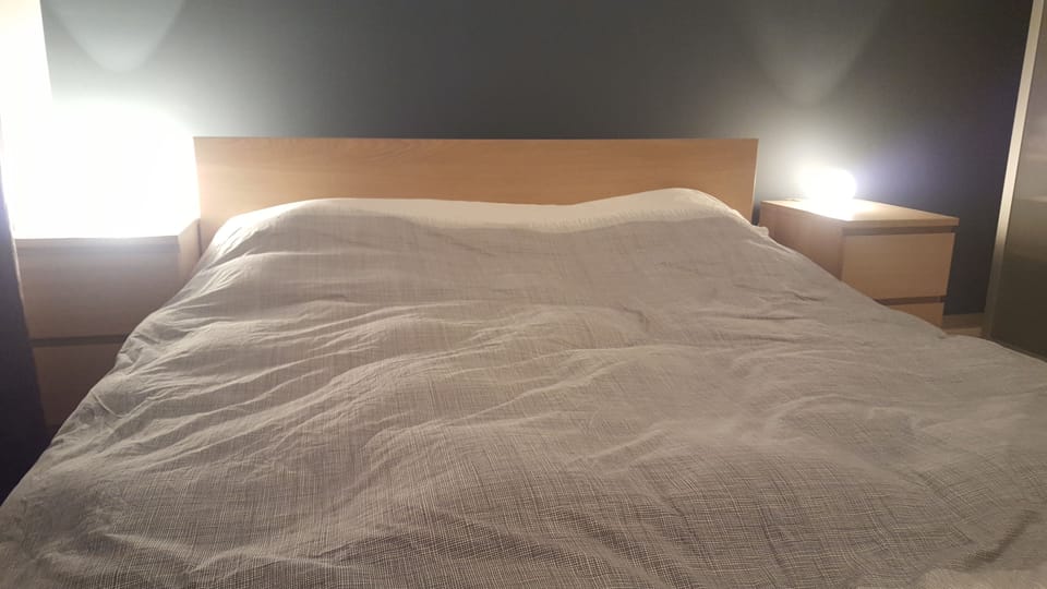 Deluxe Apartment, 2 Bedrooms, Non Smoking, City View | 3 bedrooms, premium bedding, down comforters, Select Comfort beds