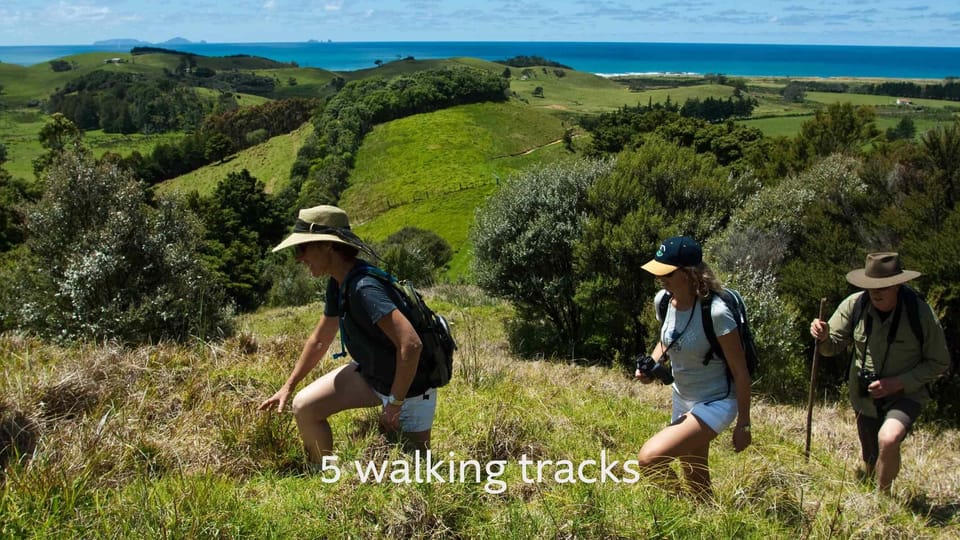 Enjoy one of our 5 walking tracks around the Tahi nature sanctuary