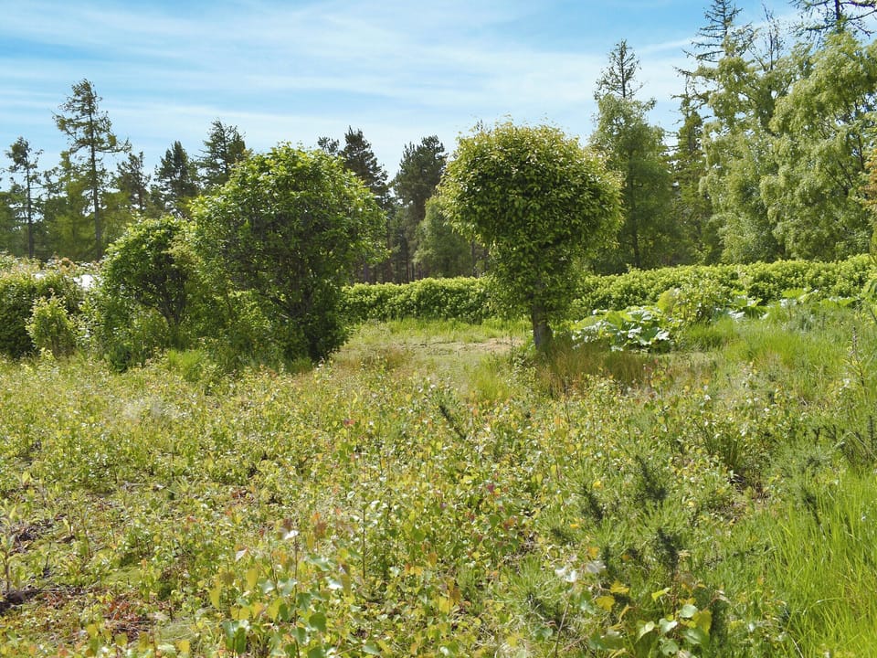 Surrounding area | Ben View, Orbliston, near Elgin