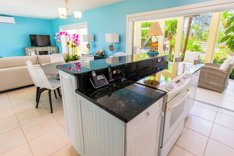 View from the kitchen overlooking the living area.