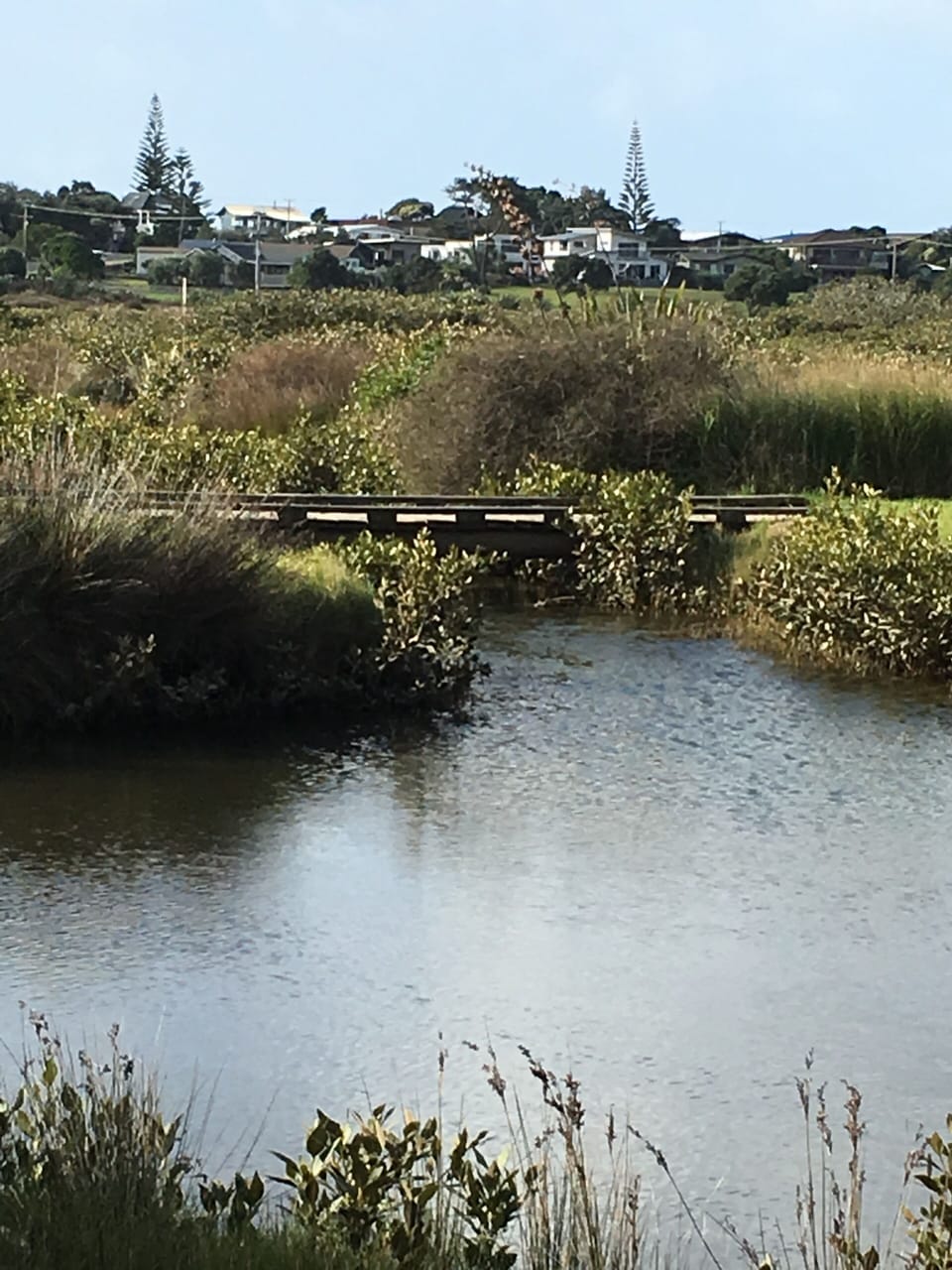 Walkway to beach 