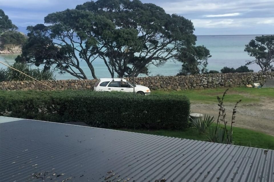 View from dinning table