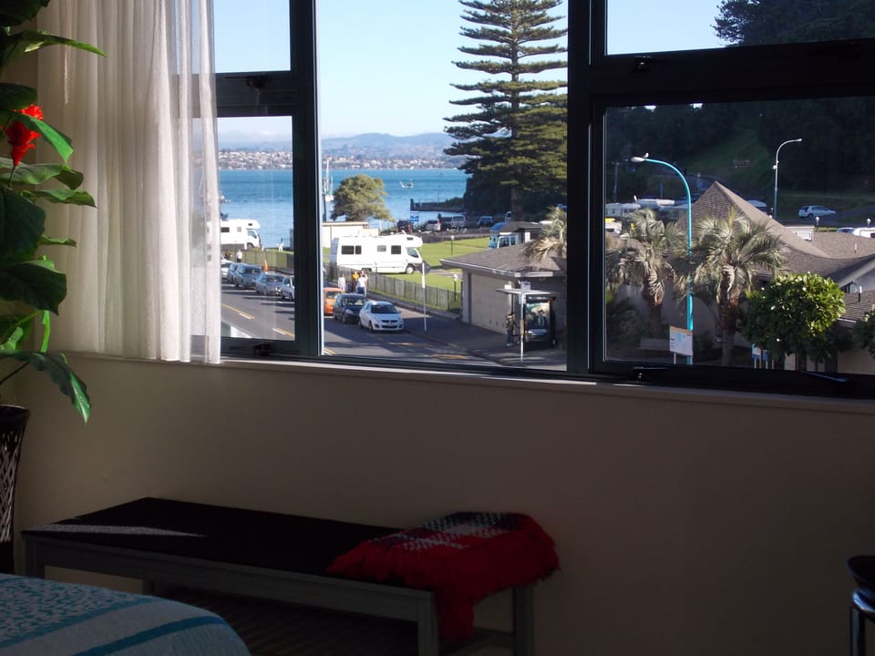 View to inner harbour