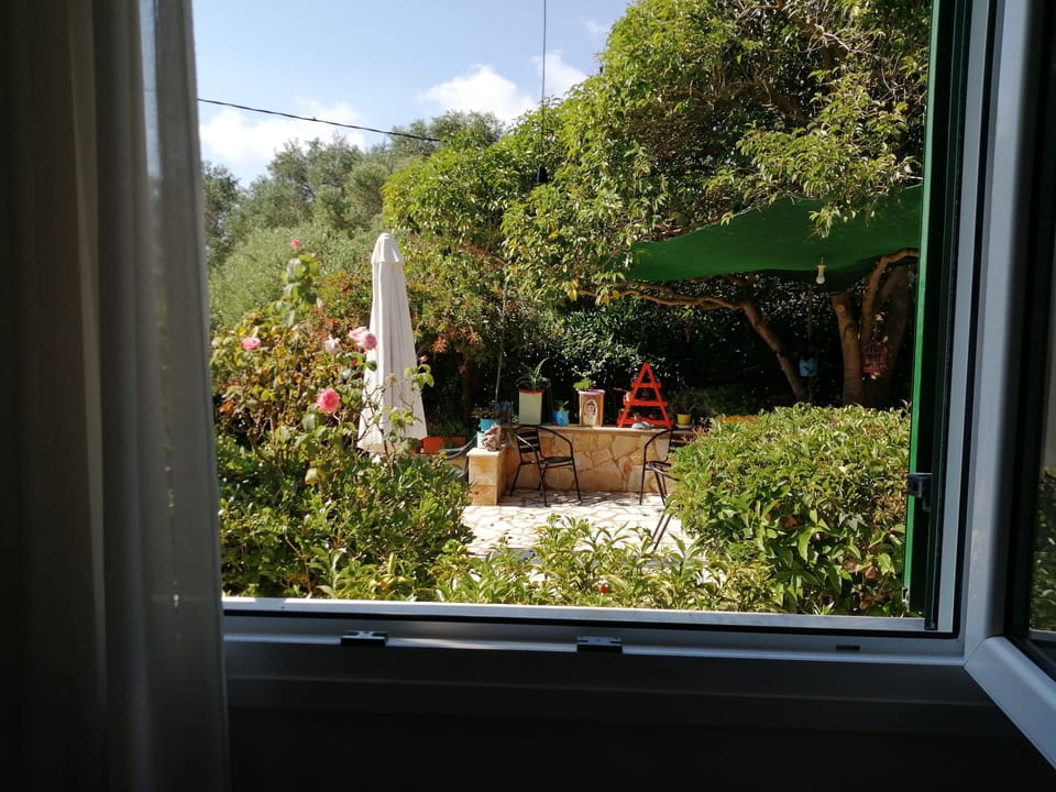 View from inside