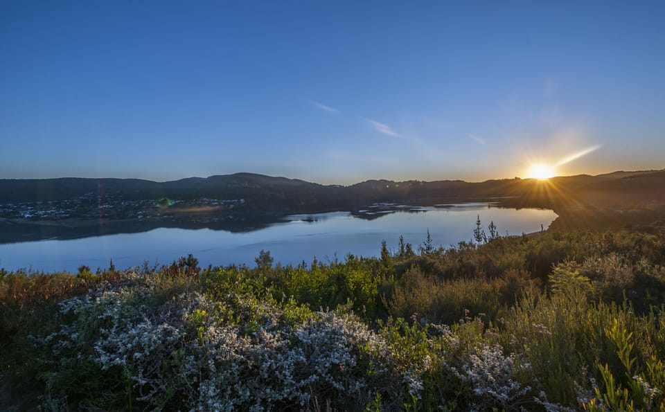 Family Suite | View from room