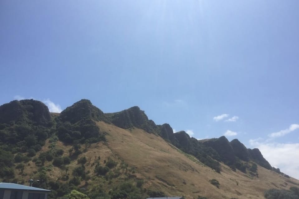 Tramp up to the top of Kairakau Hills to see the most beautiful ocean view. 